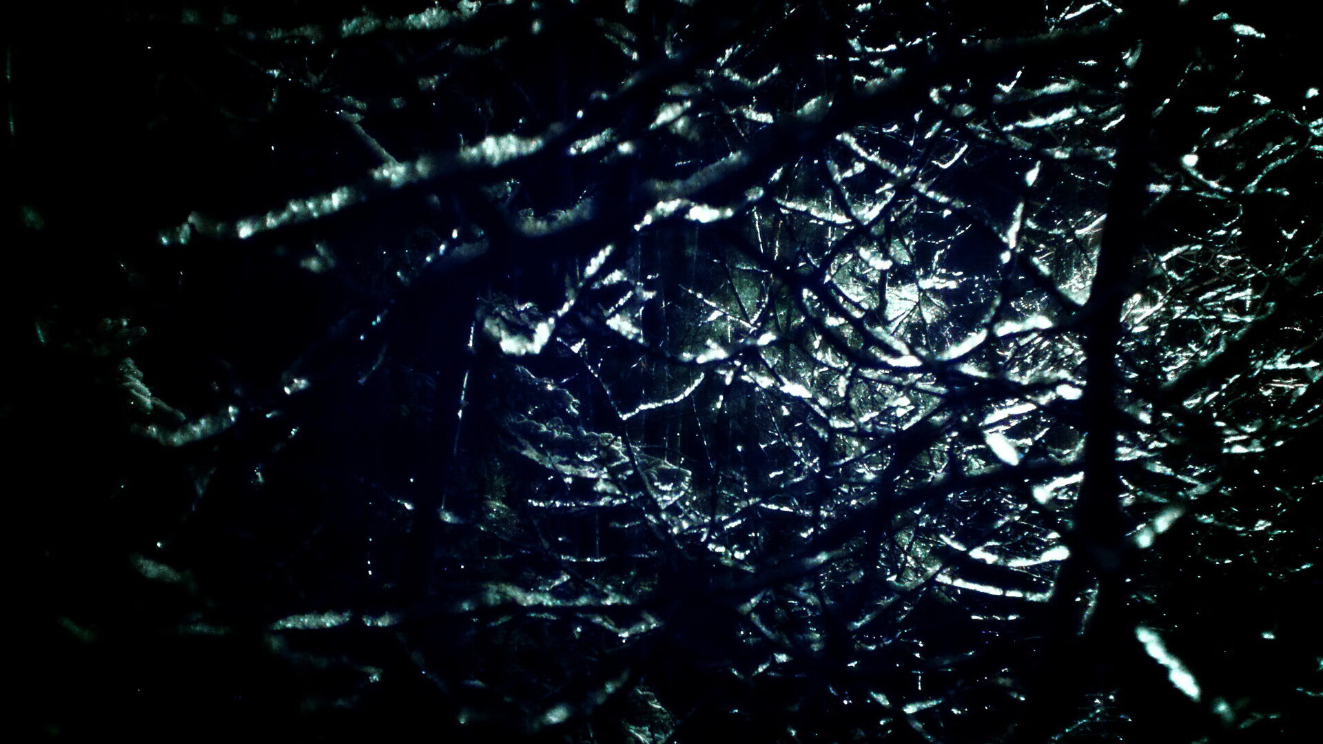 从波士顿到深圳，霍勒迪的攻防转换艺术如何定义现代篮球