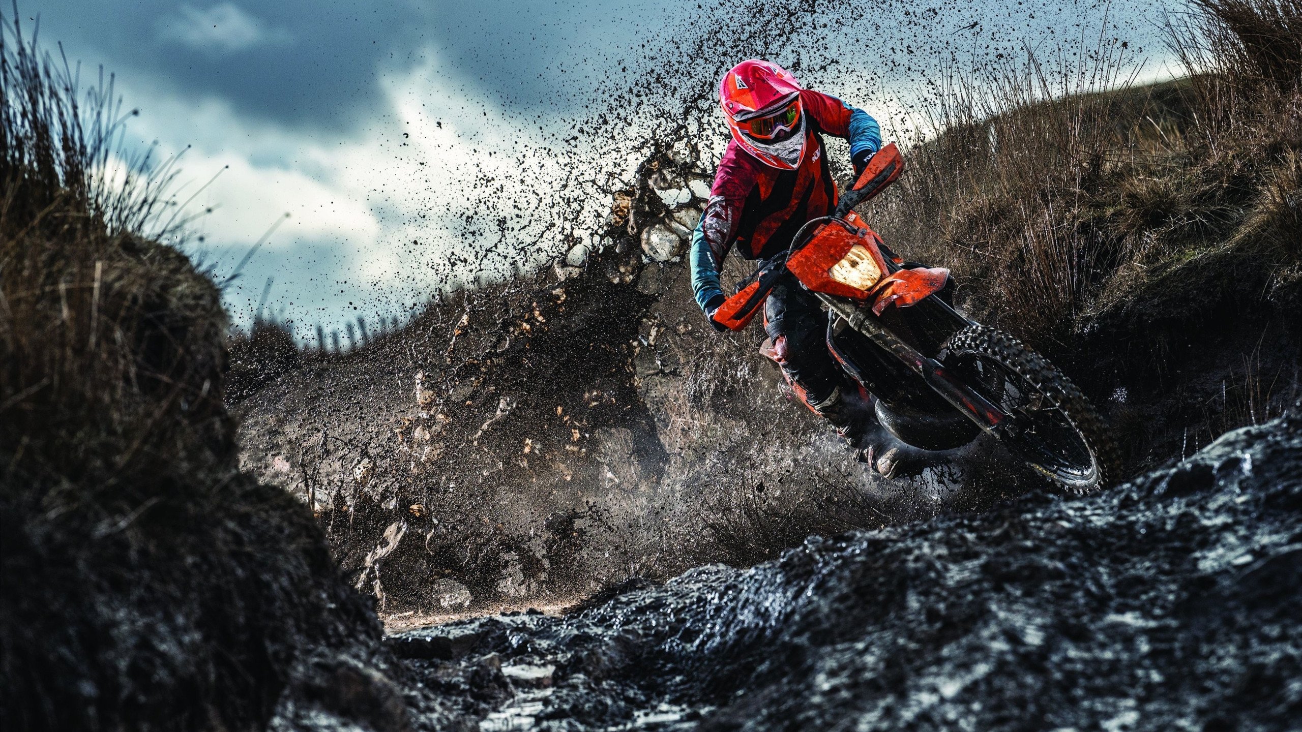 戈麦斯一剑封喉，波兰铁骑踏平三狮军团